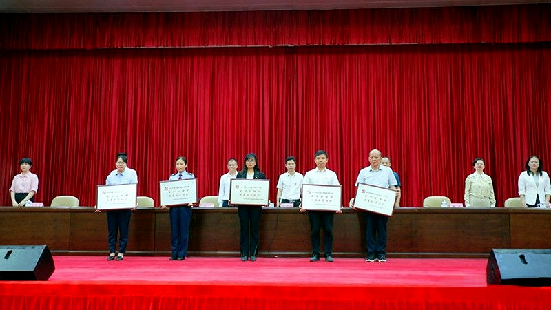 五星級黨組織2 五星級黨組織2